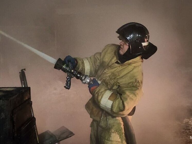 Сотрудники МЧС спасли на пожарах жизни более 50 человек в Забайкалье