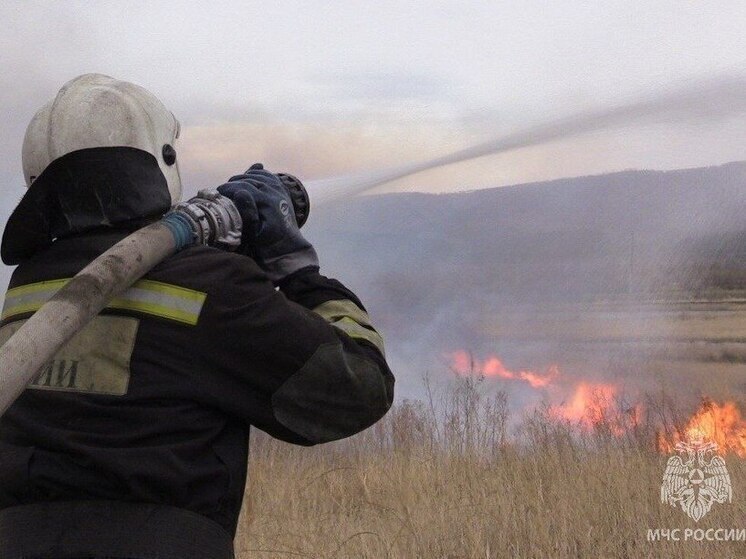 Число палов сухой травы сократилось в Забайкалье за 2025 год
