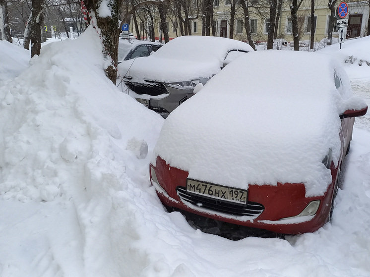 Вильфанд: в регионах Дальнего Востока прогнозируются сильный ветер, снег и метели