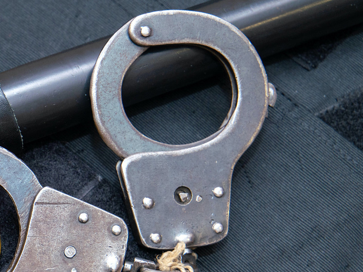 Жителей Челябинской области задержали за незаконную охоту на лося