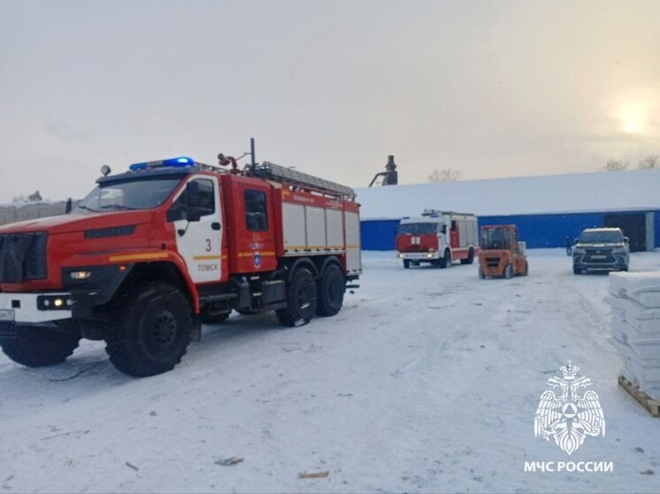 Одноэтажное здание и квартира в жилом доме горели в Томске в минувшие сутки