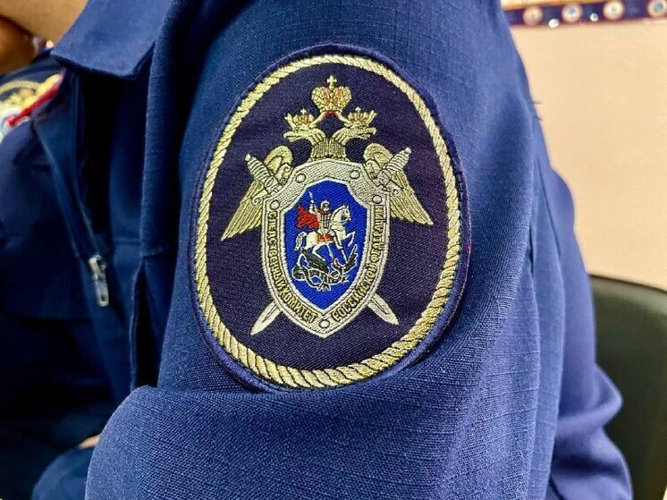 Глава СК РФ Бастрыкин поручил доклад по делу о предполагаемой подмене ребенка в Якутии