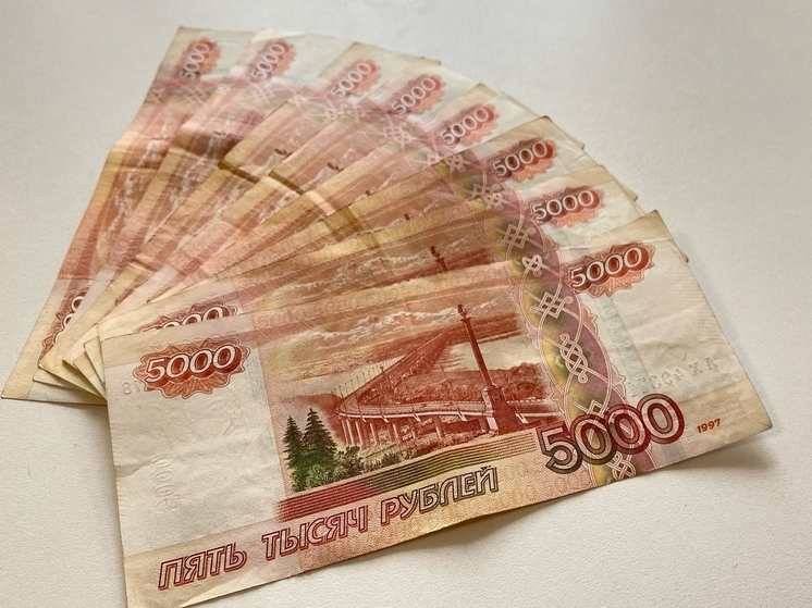 В Красноярске напомнили о сроках уплаты налогов