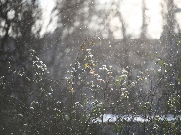 Снег и потепление до +3 градусов ожидаются в Волгоградской области