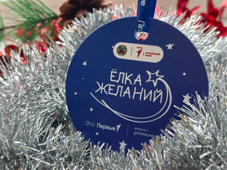 Глава алтайского Минтранса исполнит желание юного барнаульца