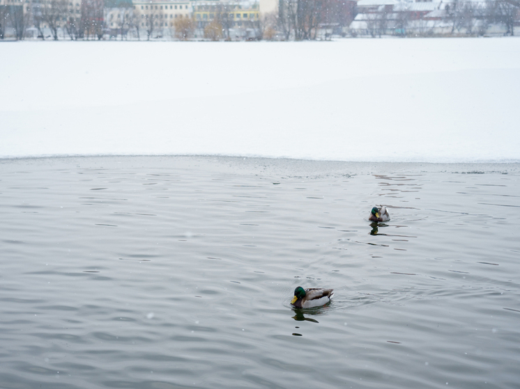 Серпуховичй предупреждают об опасности тонкого льда