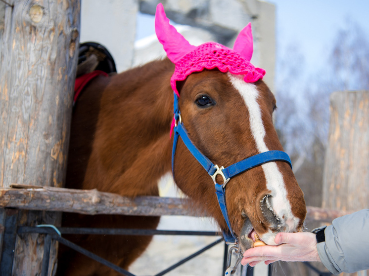 Приметы на Варварин день: что нельзя делать 17 декабря 2025 года