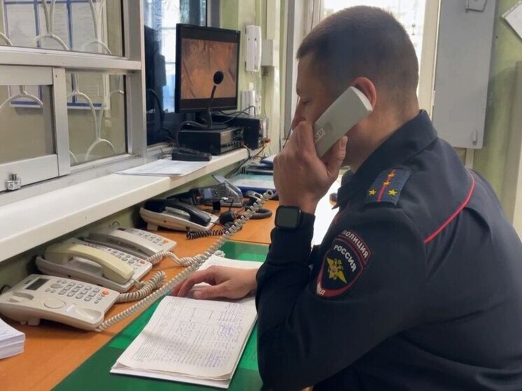 17-летний «коллекционер военной формы» попался с поличным в Архаре