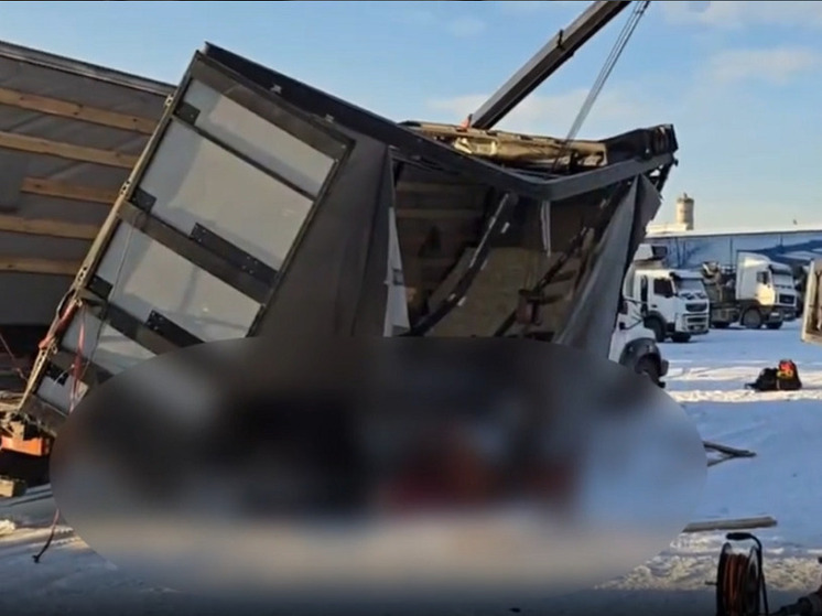 Водителя барнаульской компании насмерть придавило краном на промбазе в Красноярске