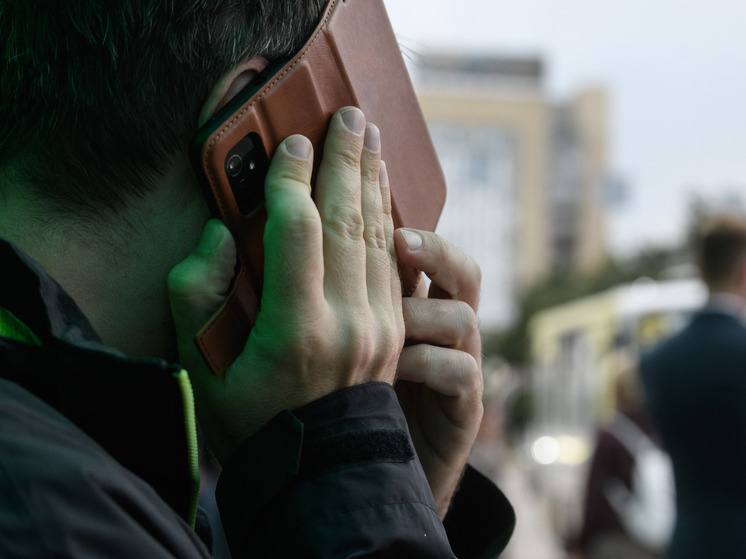 Эксперт назвал две категории граждан, которые будут популярны у мошенников в 2026 году