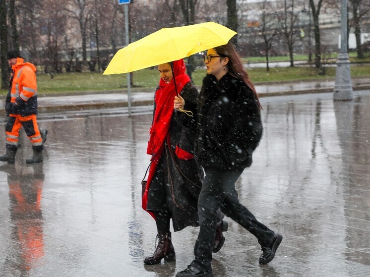 Тишковец: снег и морозы вернутся в Москву в предновогоднюю неделю