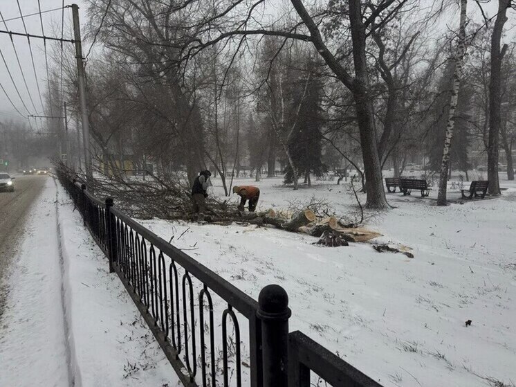 Саратовские власти отметят специалистов, работавших во время снежного шторма