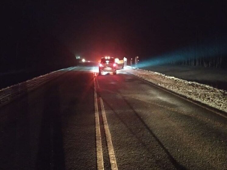 В Марий Эл женщина-пешеход пострадала из-за своей неосторожности