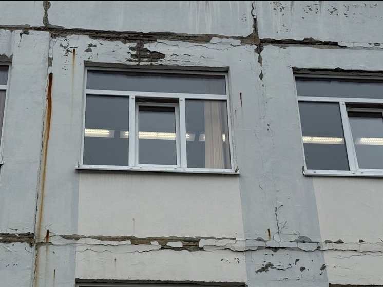 В Орле фасад школы Nº45 требует текущего ремонта