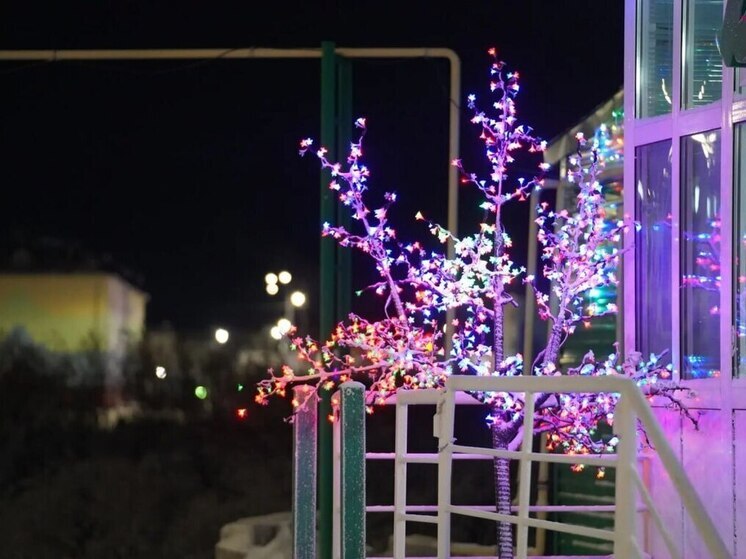 200 тысяч рублей разделили самые праздничные магазины Тазовского