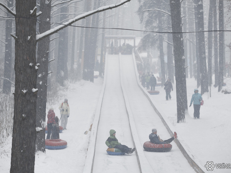 Жители Новокузнецка выразили недовольство по поводу введения платы за пользование одной из горок