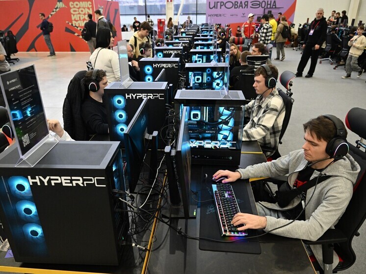 ЛДПР предложила компенсировать 20% стоимости комплектующих для компьютеров