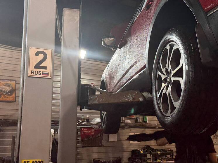 Российские авто заняли 54% рынка Петербурга