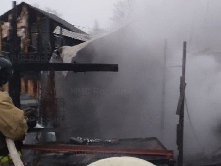 В Арсеньевском районе ликвидировано возгорание хозяйственной постройки