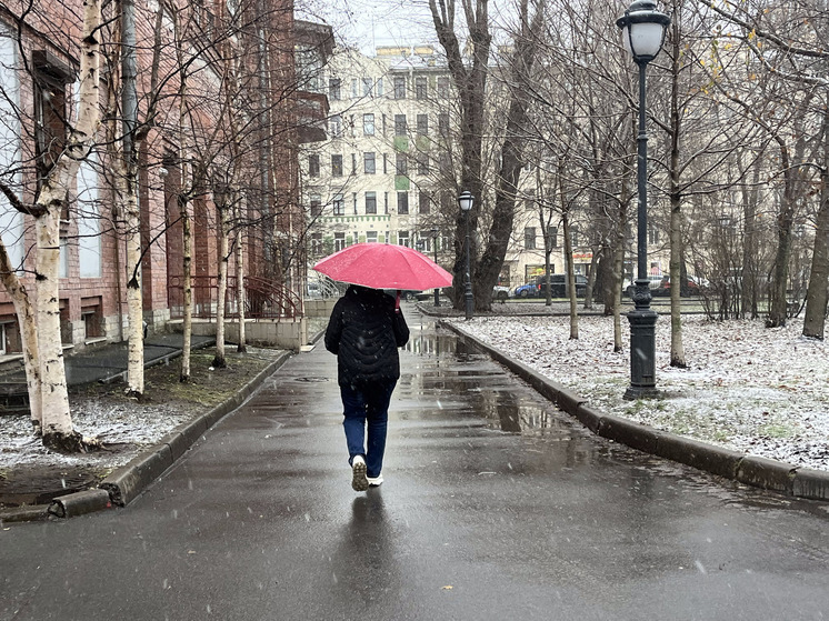 Облачная погода сохранится в Петербурге 17 декабря
