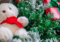 Идеи для семейного праздника в Приморье
Новый год - праздник для всей семьи, но именно для детей он полон самой настоящей магии