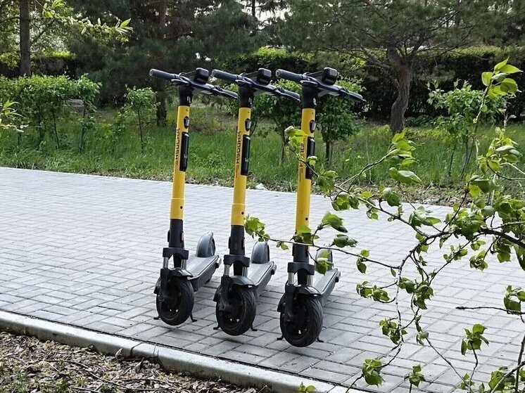 В Омске хотят создать список запрещенных для парковки самокатов мест