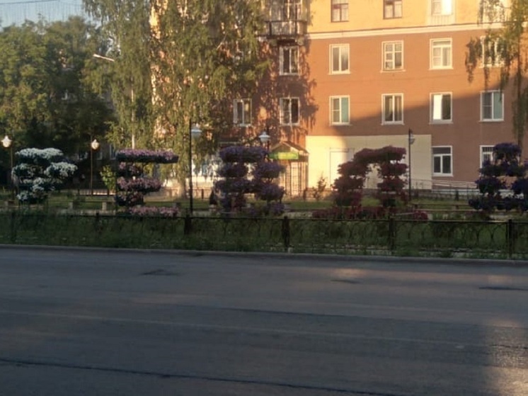 Бастрыкину доложат о затапливаемом после капремонта доме в Ревде