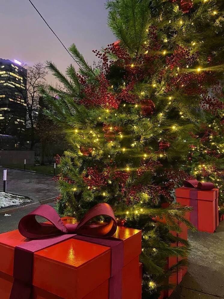 Синоптик Сафонов: на Новый год снег будет в Подмосковье, в Москве - под вопросом