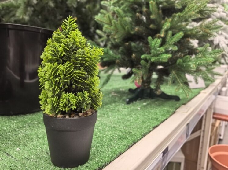 До праздника осталось меньше 20 дней!
С каждым годом все больше людей отдает предпочтение искусственной елке