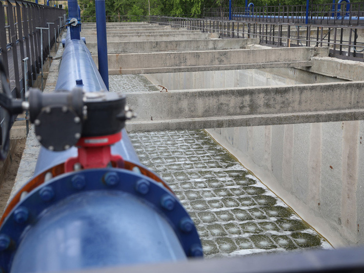 Воронежские ЛОС до сих пор не заплатили рекордный штраф в 5,9 млрд рублей