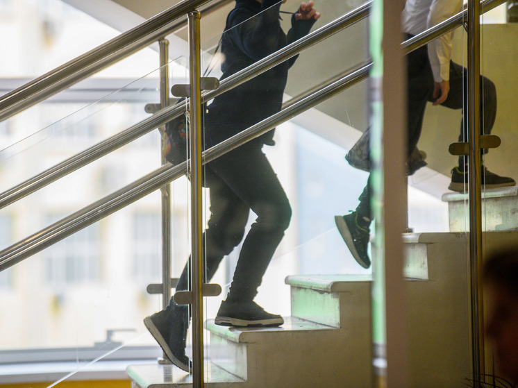 Школьный курс информатики включит ИИ и новые технологии