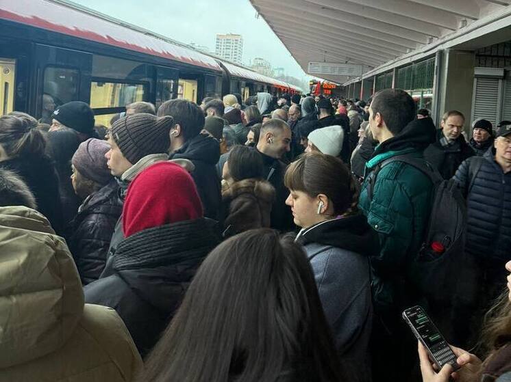 В московском метро пассажир попал под поезд и погиб