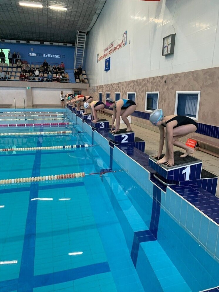 В Брянске для пловцов провели «Новогодние старты»