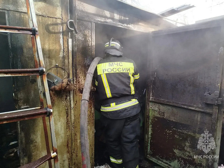 В хозяйственной постройке под Курском при пожаре погибли 30 кур