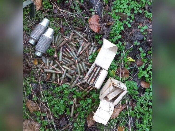 В Запорожской области найден схрон с оружием и боеприпасами