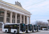 120 автобусов большого и среднего классов поступили в транспортные парки областного центре и города-спутника
