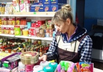 В Токмакском муниципальном округе Запорожской области прошёл мониторинг в рамках проекта «Синий ценник»