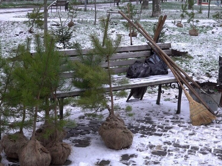 В Бердянске высадили новогодний «Сад памяти»