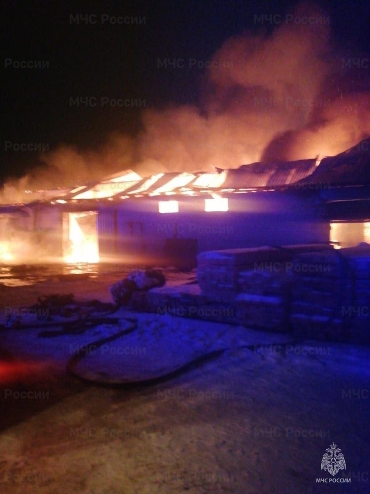 Пожар на пилораме во Владимирской области тушили до 4 часов утра