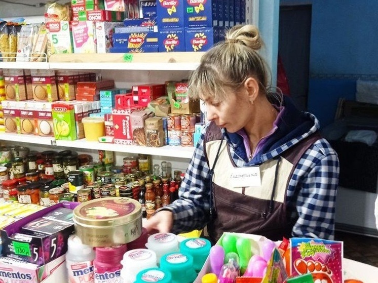 В Токмакском муниципальном округе Запорожской области прошёл мониторинг в рамках проекта «Синий ценник»