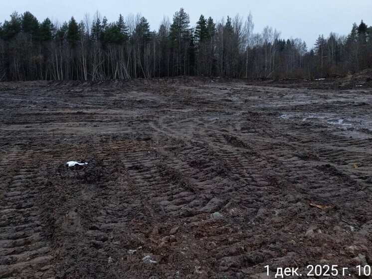 В Сланцах проделали «работу над ошибками» и ликвидировали 200 кубометров свалки