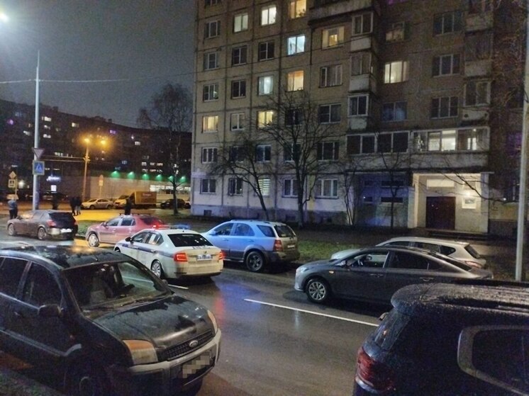 Бдительный петербуржец помог ДПС поймать пьянчужку за рулем
