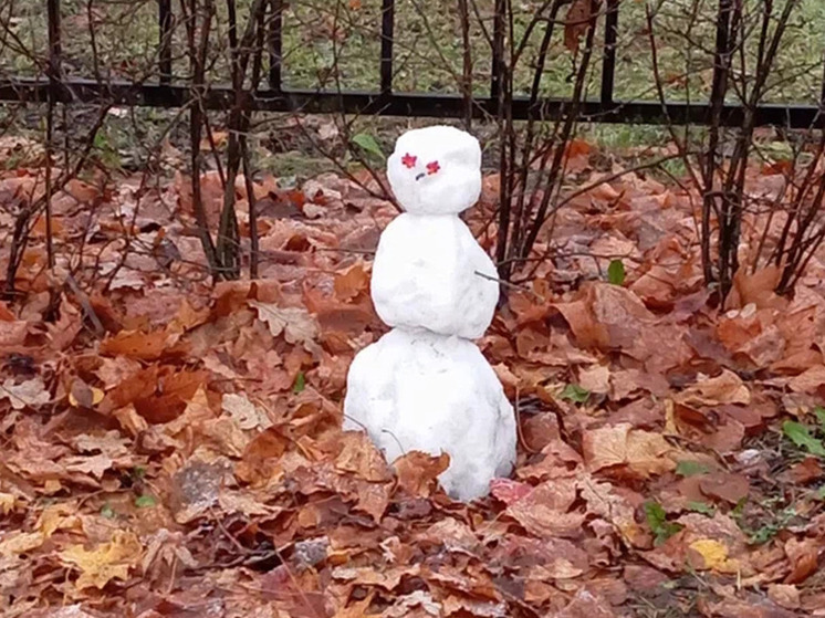 В ближайшие дни в Новгородской области будет стоять плюсовая температура