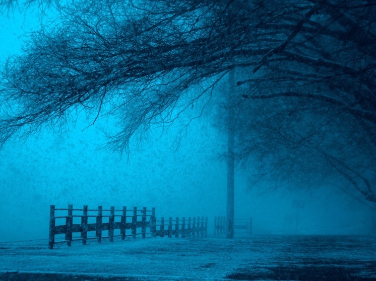 Соскучиться не успеем: когда в Нижний вернутся морозы?