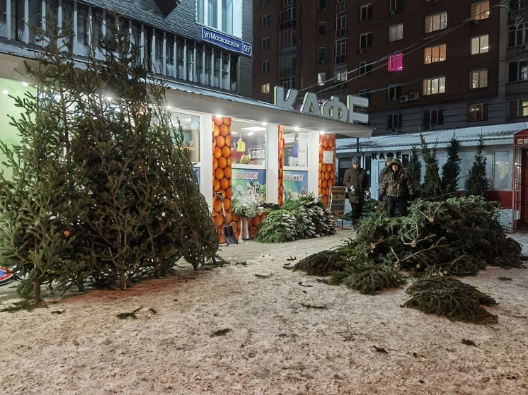 В Новосибирске открылись официальные ёлочные базары