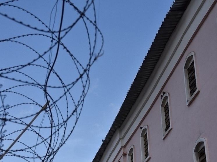 Туляк получил реальный срок за побег из исправительного центра