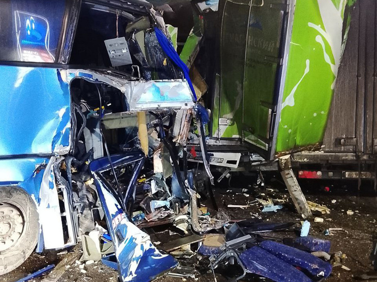 В массовом ДТП Воронежской области увеличилось количество пострадавших