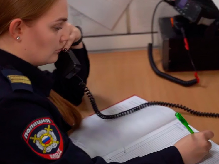 В Липецке питерский гость попался на кражах из автомобилей