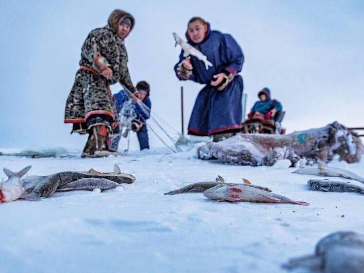 На Ямале рассматривают введение рыбацкого капитала