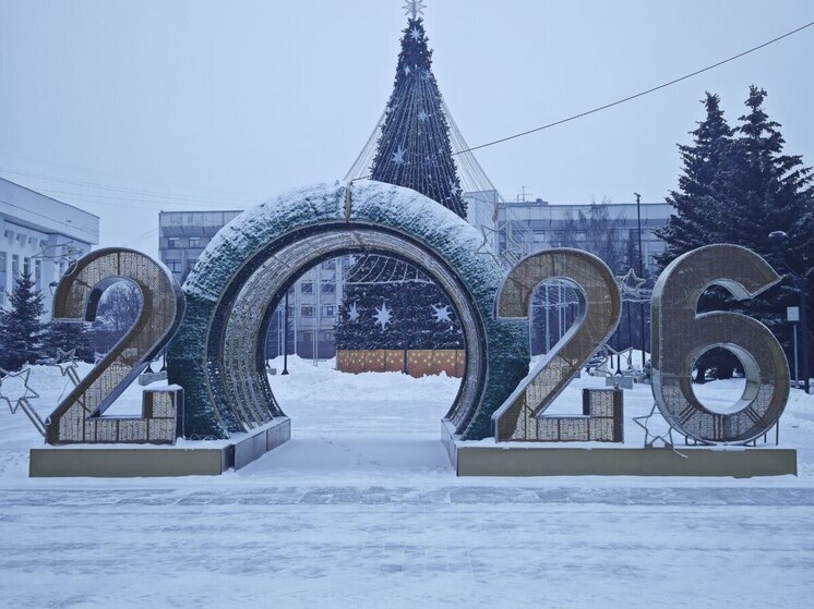 Семь площадей Вологды украшают новогодние елки